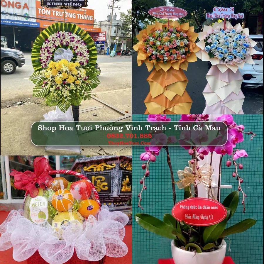 Shop Hoa Tươi Phường Vĩnh Trạch - Tỉnh Cà Mau