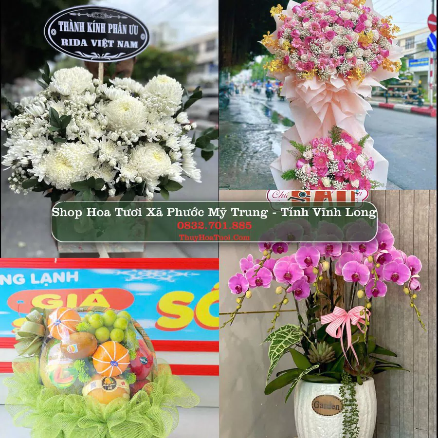 Shop Hoa Tươi Xã Phước Mỹ Trung - Tỉnh Vĩnh Long