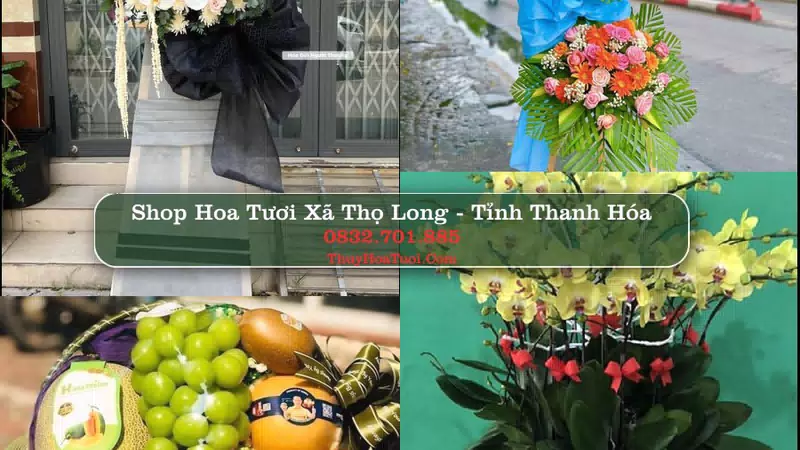 Shop Hoa Tươi Xã Thọ Long - Tỉnh Thanh Hóa