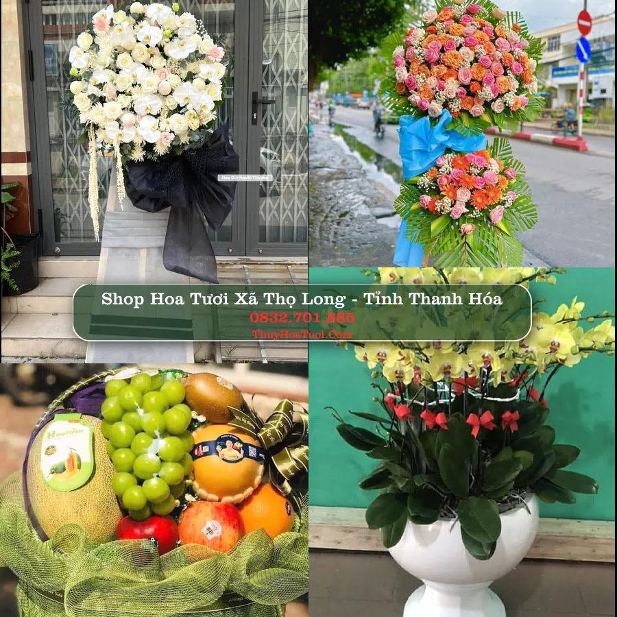 Shop Hoa Tươi Xã Thọ Long - Tỉnh Thanh Hóa