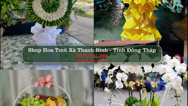 Shop Hoa Tươi Xã Thanh Bình - Tỉnh Đồng Tháp