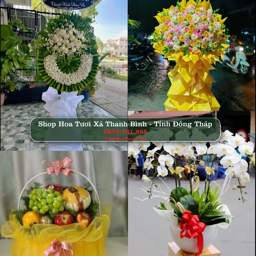 Shop Hoa Tươi Xã Thanh Bình - Tỉnh Đồng Tháp