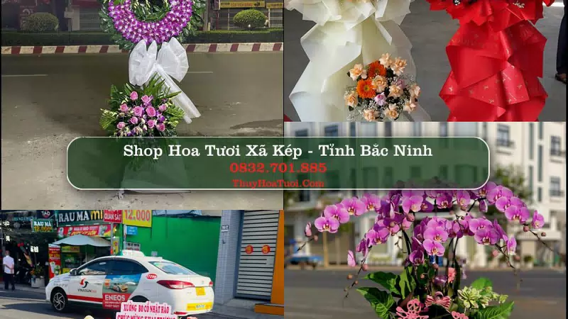 Shop Hoa Tươi Xã Kép - Tỉnh Bắc Ninh
