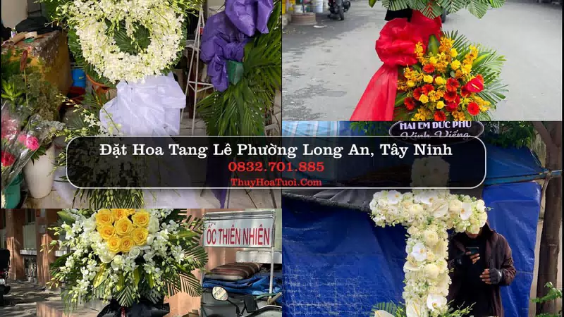Đặt Hoa Chia Buồn tại Phường Long An, Tây Ninh