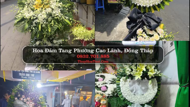 Đặt Vòng Hoa Chia Buồn tại Phường Cao Lãnh, Đồng Tháp