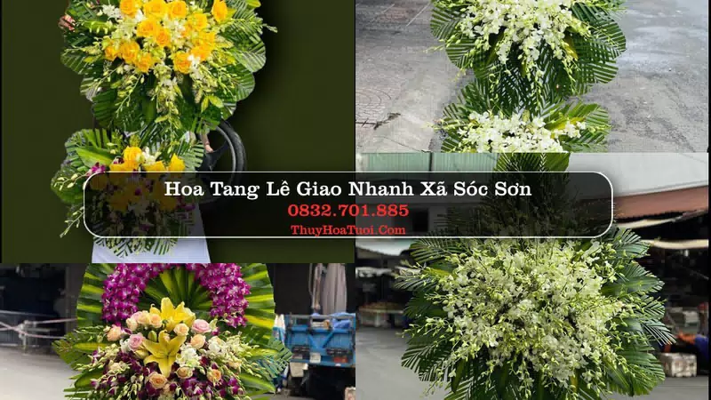Hoa Tang Lễ Xã Sóc Sơn Hà Nội
