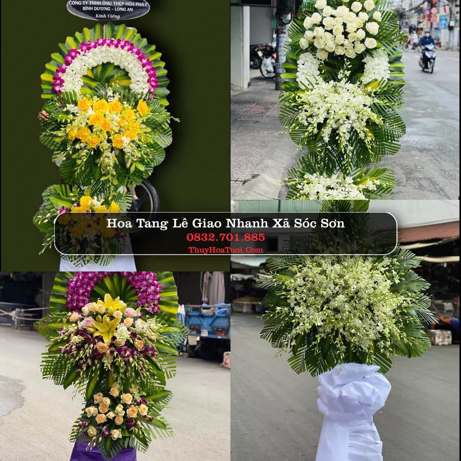 Hoa Tang Lễ Xã Sóc Sơn Hà Nội