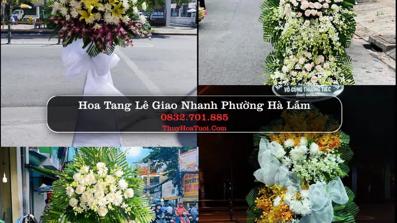 Đặt Hoa Chia Buồn tại Phường Hà Lầm, Quảng Ninh