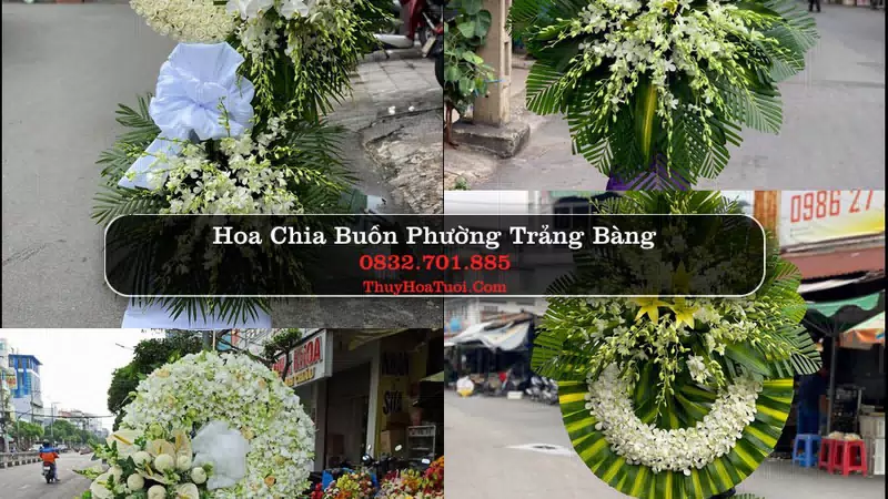 Đặt Vòng Hoa Tang Lễ tại Phường Trảng Bàng, Tây Ninh