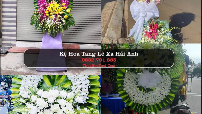 Hoa Tang Lễ Xã Hải Anh Ninh Bình