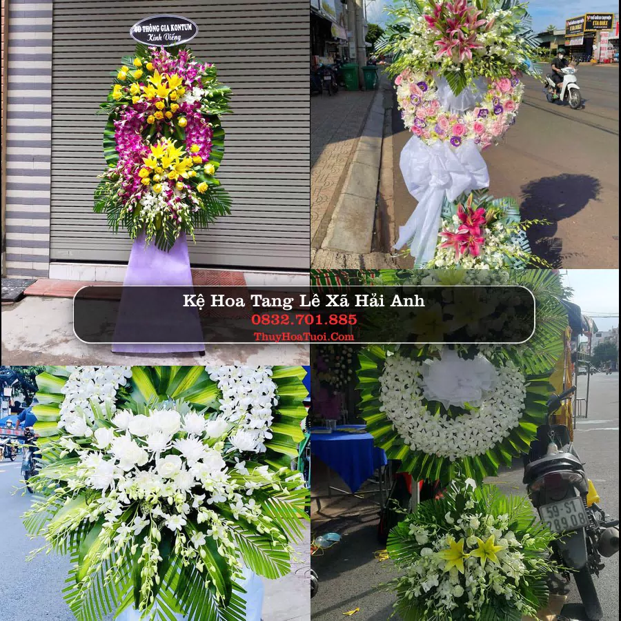Hoa Tang Lễ Xã Hải Anh Ninh Bình