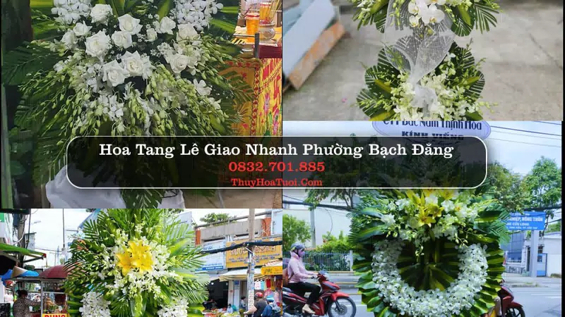 Hoa Tang Lễ Phường Bạch Đằng Hải Phòng