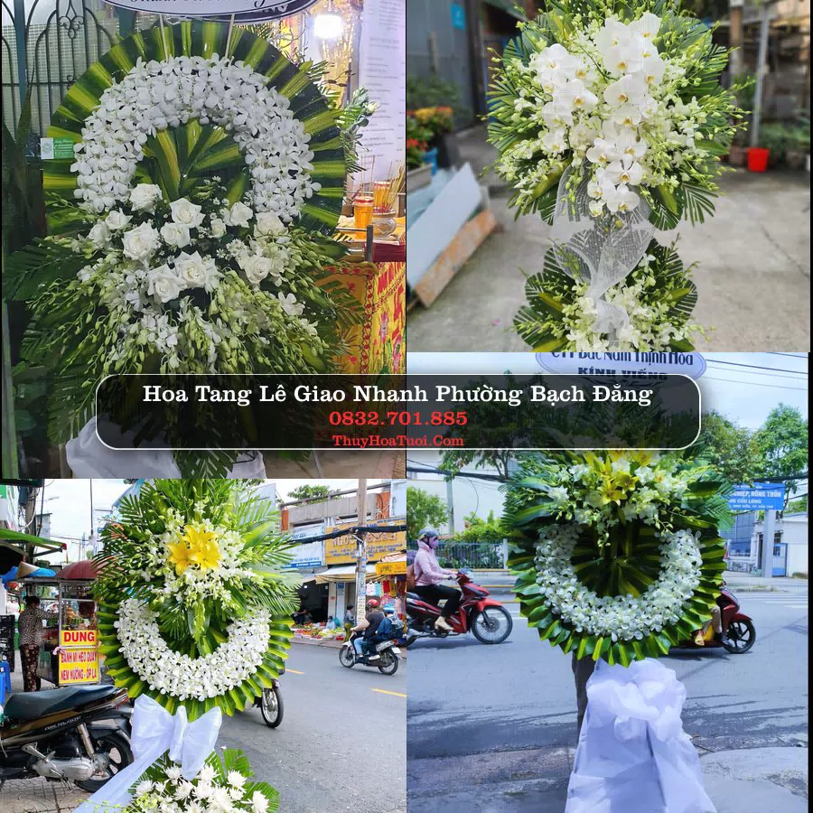 Hoa Tang Lễ Phường Bạch Đằng Hải Phòng