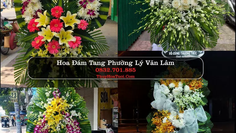 Hoa Tang Lễ Phường Lý Văn Lâm Cà Mau