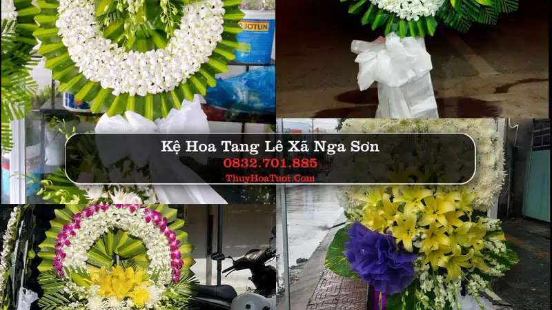 Hoa Tang Lễ Xã Nga Sơn Thanh Hóa