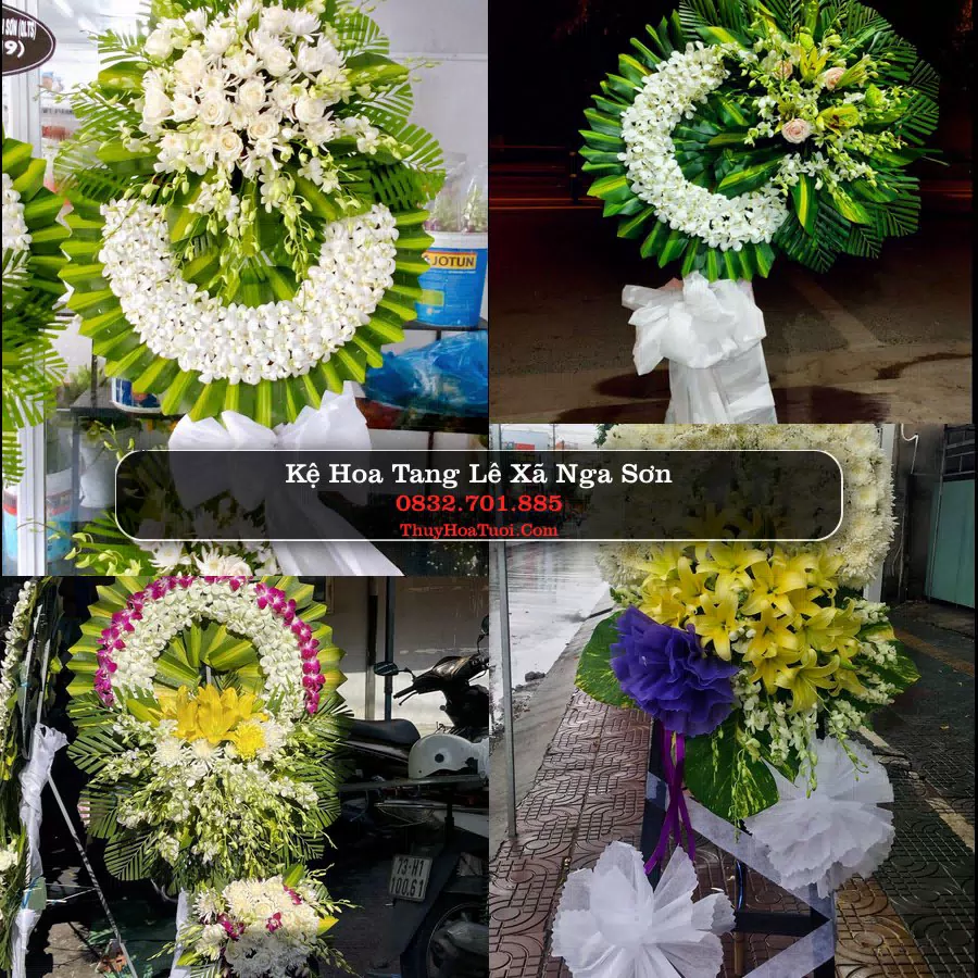 Hoa Tang Lễ Xã Nga Sơn Thanh Hóa