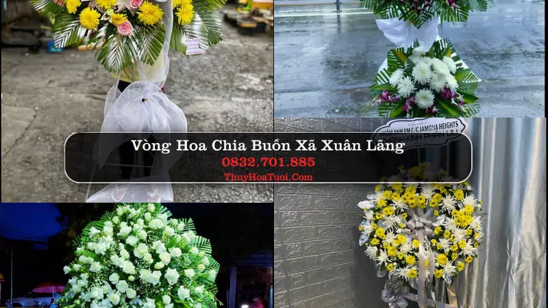 Hoa Tang Lễ Xã Xuân Lãng Phú Thọ