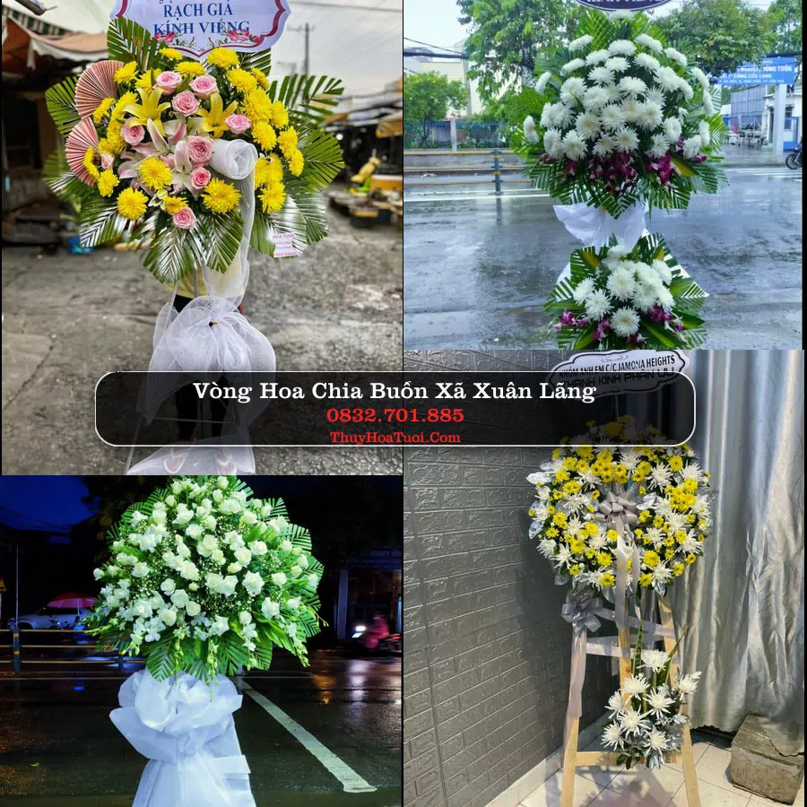 Hoa Tang Lễ Xã Xuân Lãng Phú Thọ