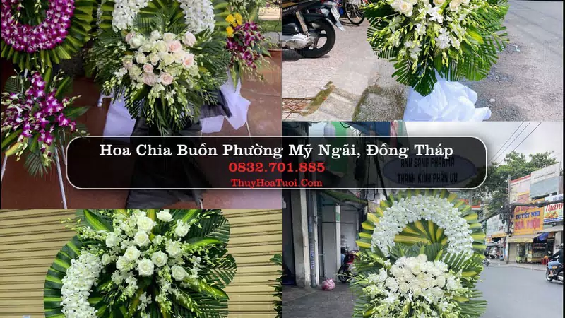 Đặt Vòng Hoa Chia Buồn tại Phường Mỹ Ngãi, Đồng Tháp