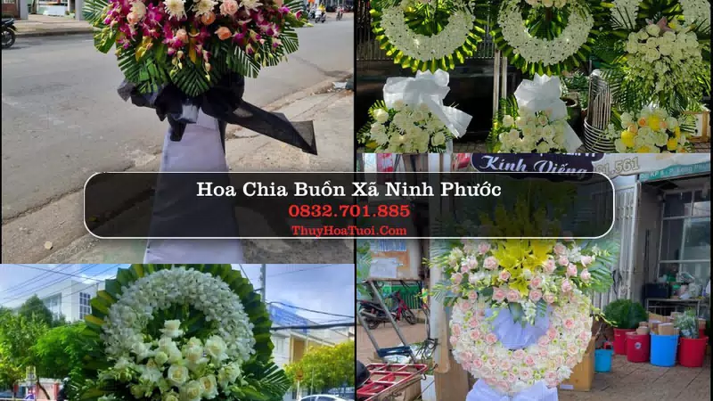 Đặt Vòng Hoa Chia Buồn tại Xã Ninh Phước, Khánh Hòa