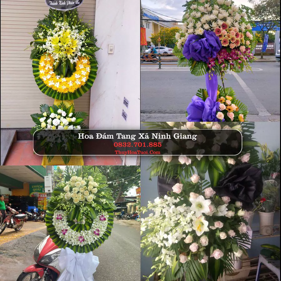 Vòng hoa chia buồn Xã Ninh Giang - ThuyHoaTuoi.Com