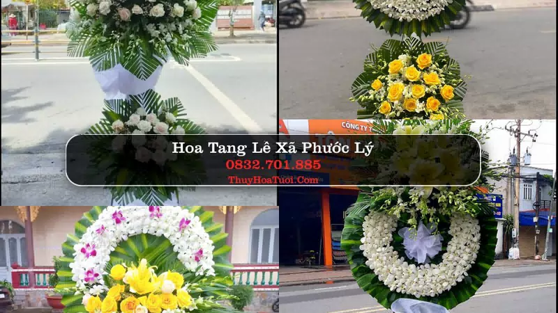Hoa Tang Lễ Xã Phước Lý Tây Ninh