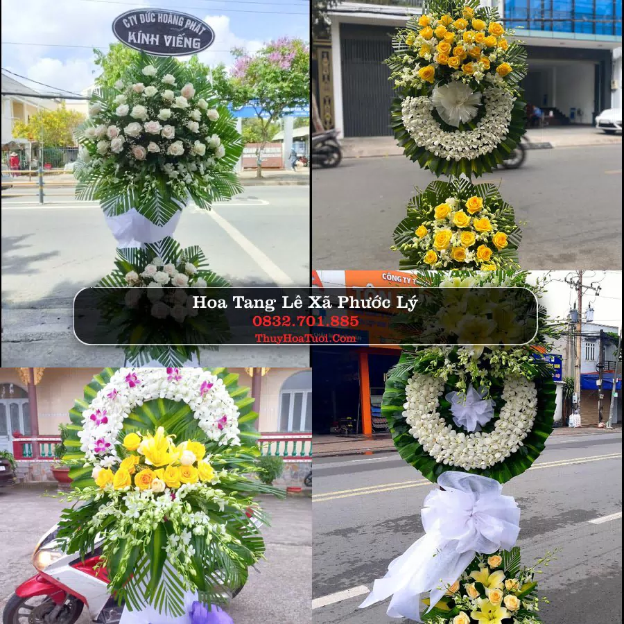 Hoa Tang Lễ Xã Phước Lý Tây Ninh