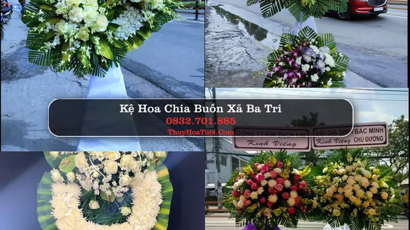 Hoa Tang Lễ Xã Ba Tri Vĩnh Long