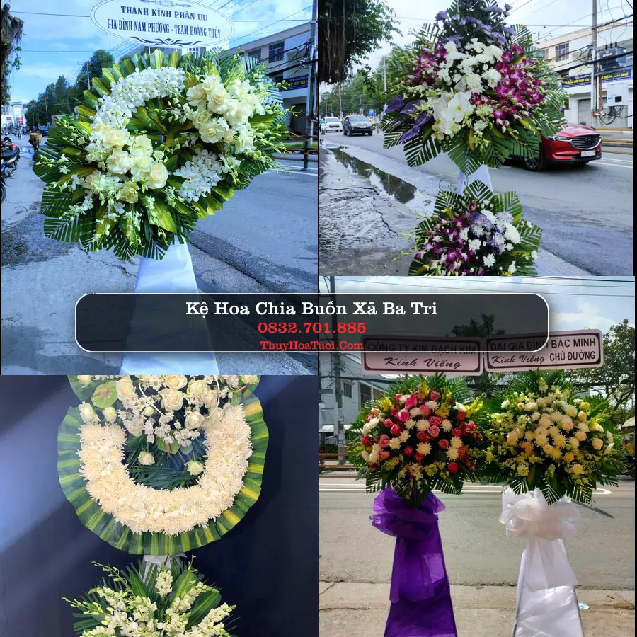 Hoa Tang Lễ Xã Ba Tri Vĩnh Long