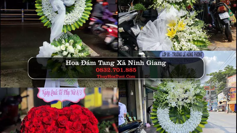 Đặt Vòng Hoa Chia Buồn tại Xã Ninh Giang, Ninh Bình