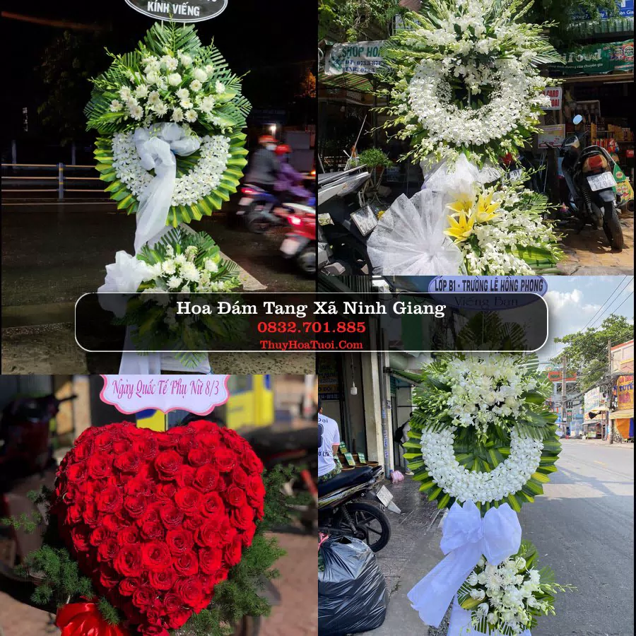 Đặt Vòng Hoa Chia Buồn tại Xã Ninh Giang, Ninh Bình