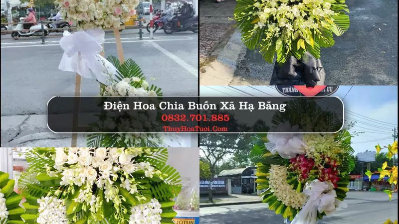 Đặt Hoa Chia Buồn tại Xã Hạ Bằng, Hà Nội