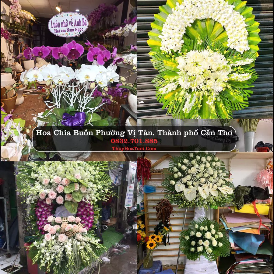 Vòng hoa chia buồn Phường Vị Tân - ThuyHoaTuoi.Com