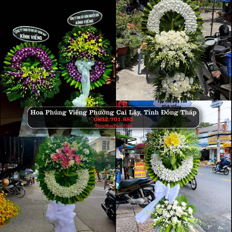 Vòng hoa chia buồn Phường Cai Lậy - ThuyHoaTuoi.Com