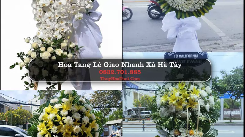 Đặt Vòng Hoa Chia Buồn tại Xã Hà Tây, Hải Phòng