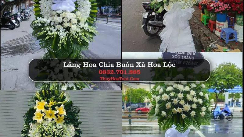 Hoa Tang Lễ Xã Hoa Lộc Thanh Hóa