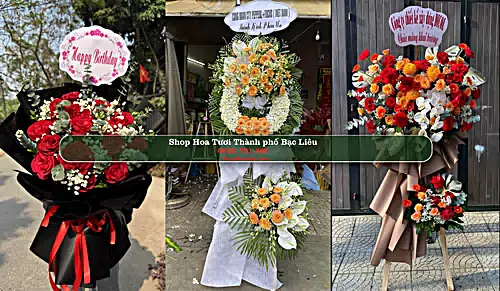 Shop Hoa Tươi Thành phố Bạc Liêu - Bạc Liêu (Cũ)