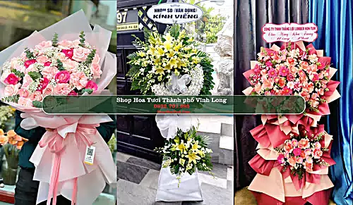 Shop Hoa Tươi Thành phố Vĩnh Long - Vĩnh Long (Cũ)