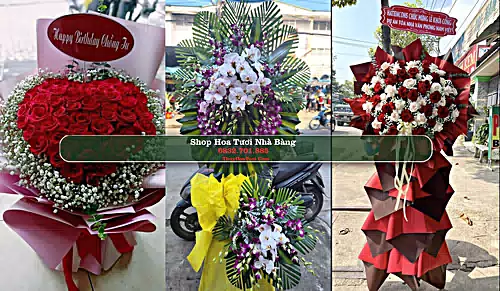Shop Hoa Tươi Nhà Bàng - Huyện Tịnh Biên (Cũ)
