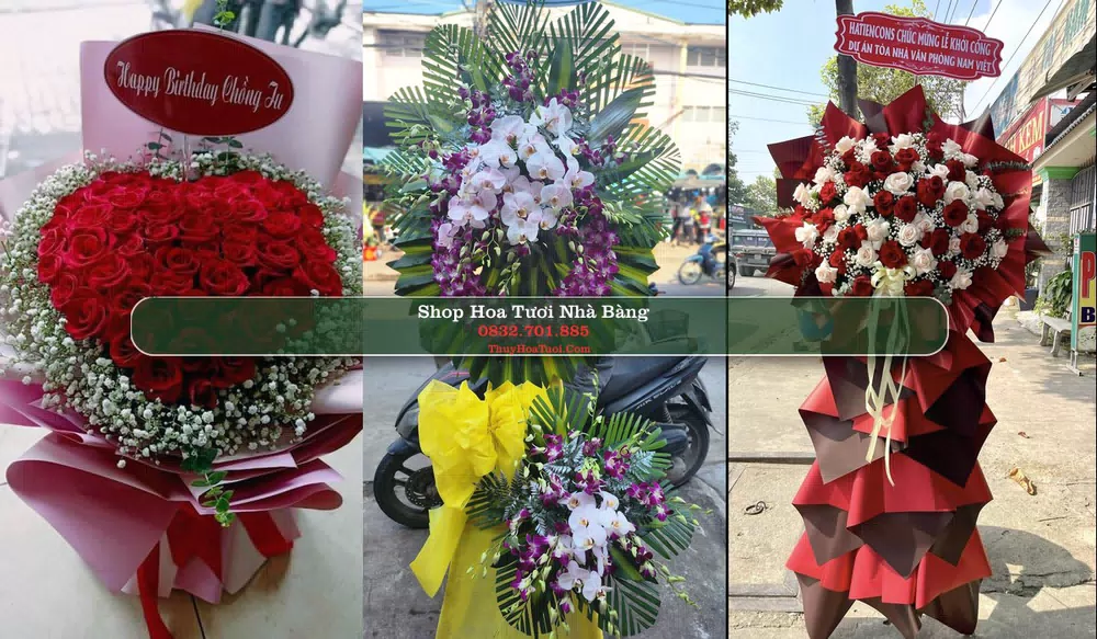 Shop Hoa Tươi Nhà Bàng - Huyện Tịnh Biên (Cũ)