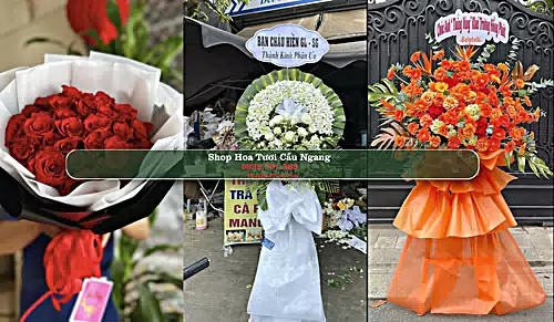 Shop Hoa Tươi Cầu Ngang - Huyện Cầu Ngang (Cũ)