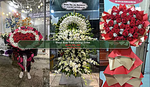 Shop Hoa Tươi Giồng Trôm - Huyện Giồng Trôm (Cũ)