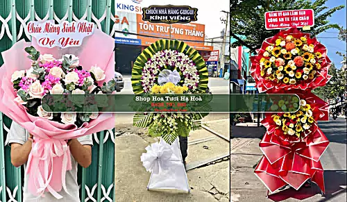 Shop Hoa Tươi Hạ Hoà - Huyện Hạ Hoà (Cũ)