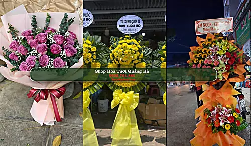 Shop Hoa Tươi Quảng Hà - Huyện Hải Hà (Cũ)