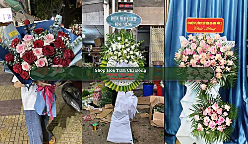 Shop Hoa Tươi Chi Đông - Huyện Mê Linh (Cũ)