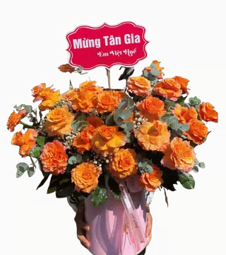 Giỏ Hoa Hồng Cam Mừng Tân Gia