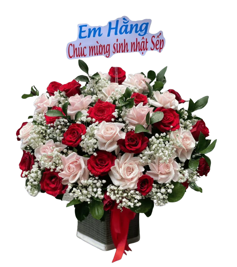 Giỏ Hoa Hồng Đỏ Phối Hồng Phấn