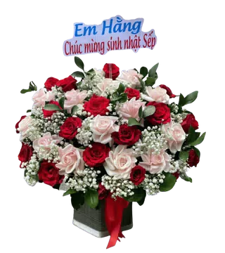 Giỏ Hoa Hồng Đỏ Phối Hồng Phấn