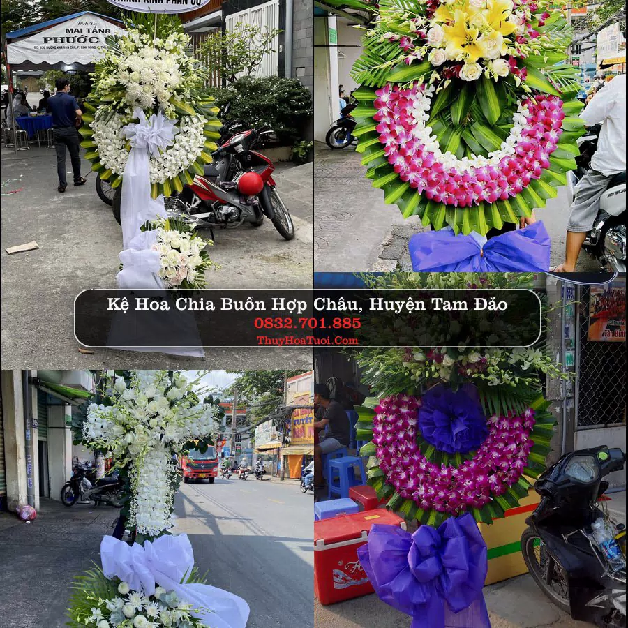 Kệ hoa tang lễ giao tại Hợp Châu, Tam Đảo