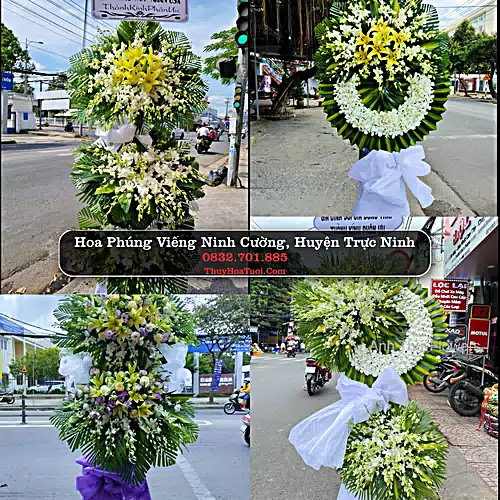Đặt Vòng Hoa Chia Buồn tại Ninh Cường, Trực Ninh, Nam Định (Cũ)
